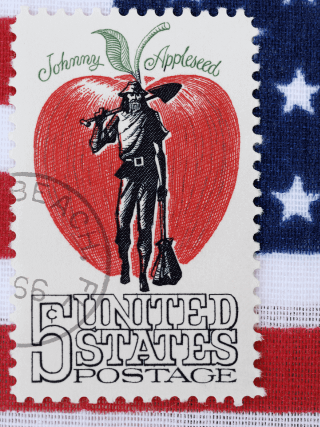 5 intelligence overview